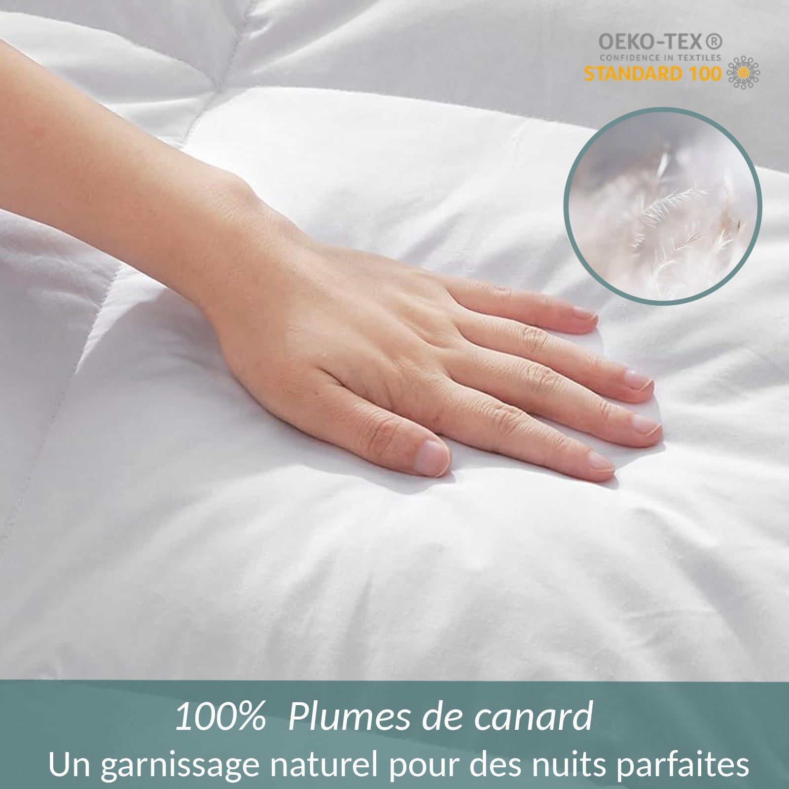 Couette 100% plumes très chaude, qualité 500 g/m²