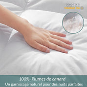 Couette 100% plumes très chaude, qualité 500 g/m²