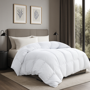 Couette 100% plumes très chaude, qualité 500 g/m²